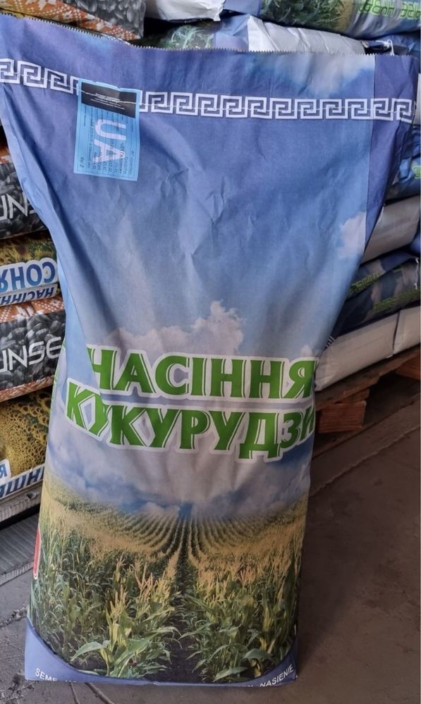 Насіння кукурудзи ДБ Хотин ФАО 280 семена