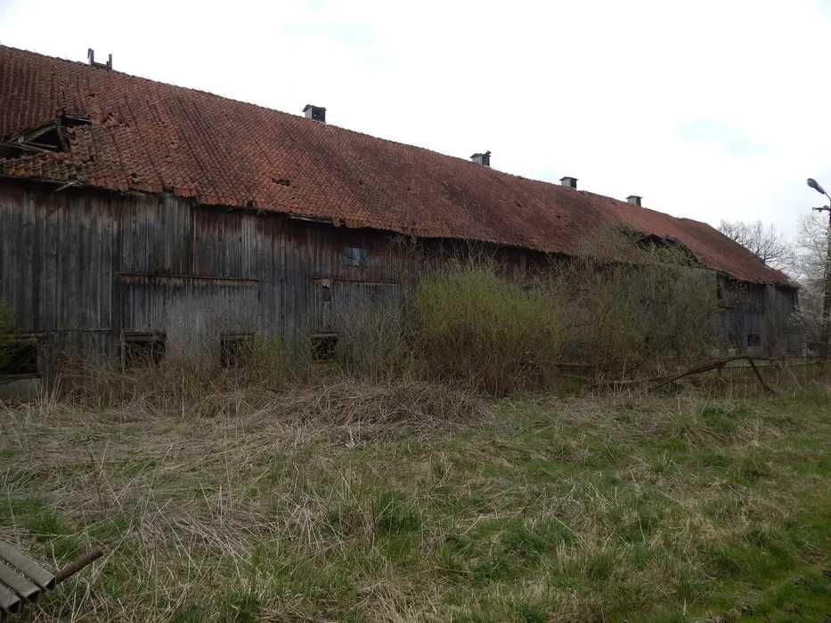 Skup starego drewna, Stodoła, stare deski, skup stodół, rozbiórki