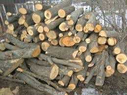 В продажу дрова для опалення. Опт/Роздріб