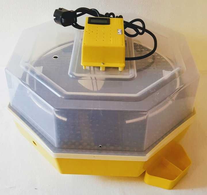 Inkubator, wylęgarka klujnik CLEO 5, półautomat 41 jaj - 60 jaj