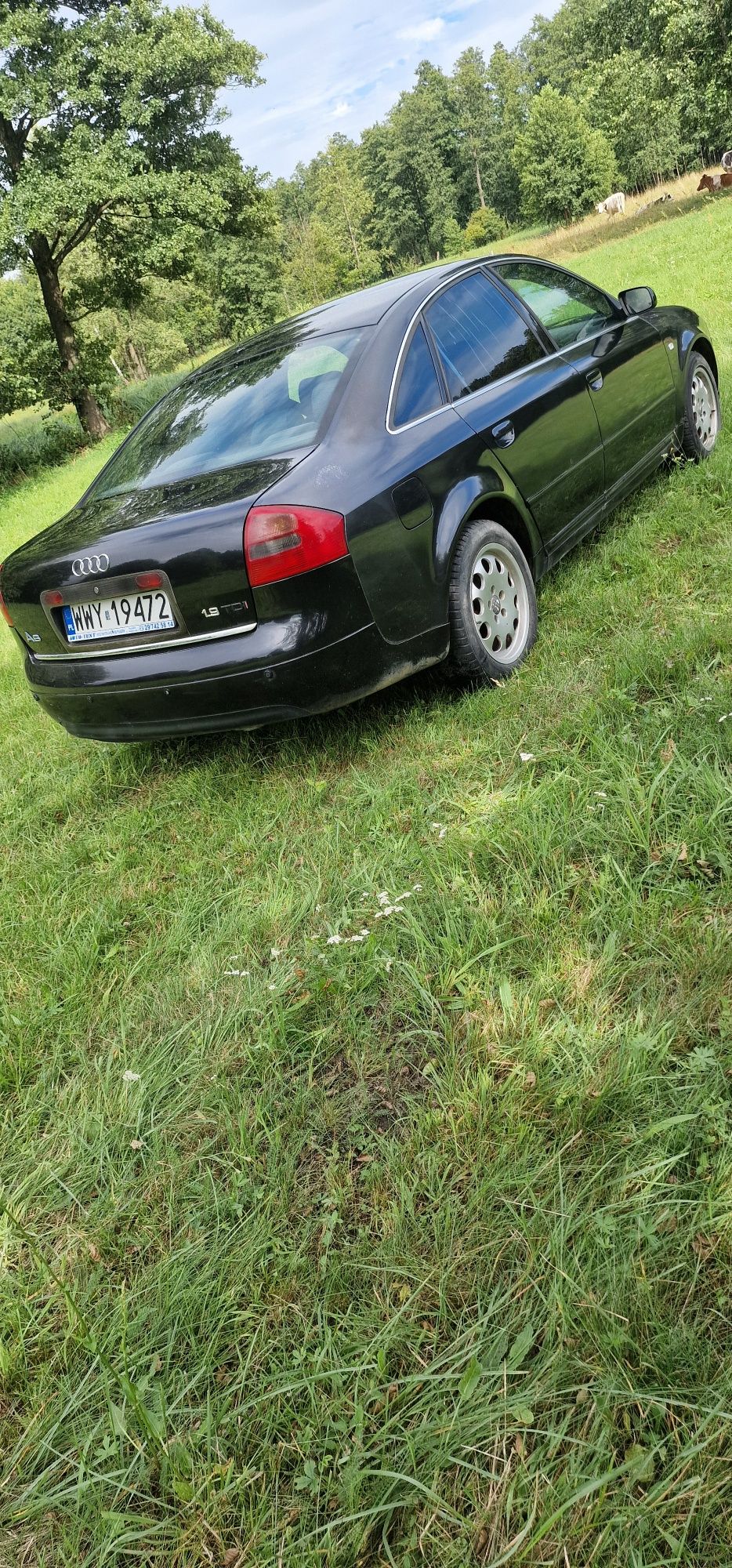 Witam sprzedam audi a6c5 z silnikiem 1.9