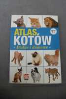 Atlas kotów dzikie i domowe