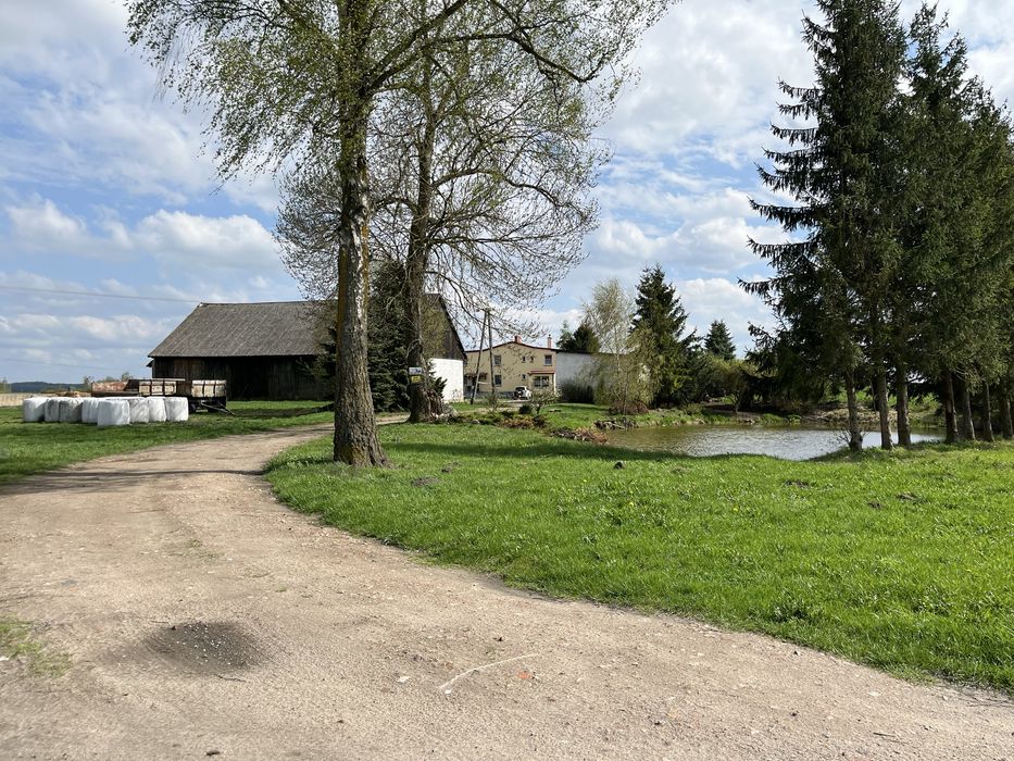 Siedlisko/gospodarstwo z 18 hektarami ziemi w Mikołajkach na Mazurach