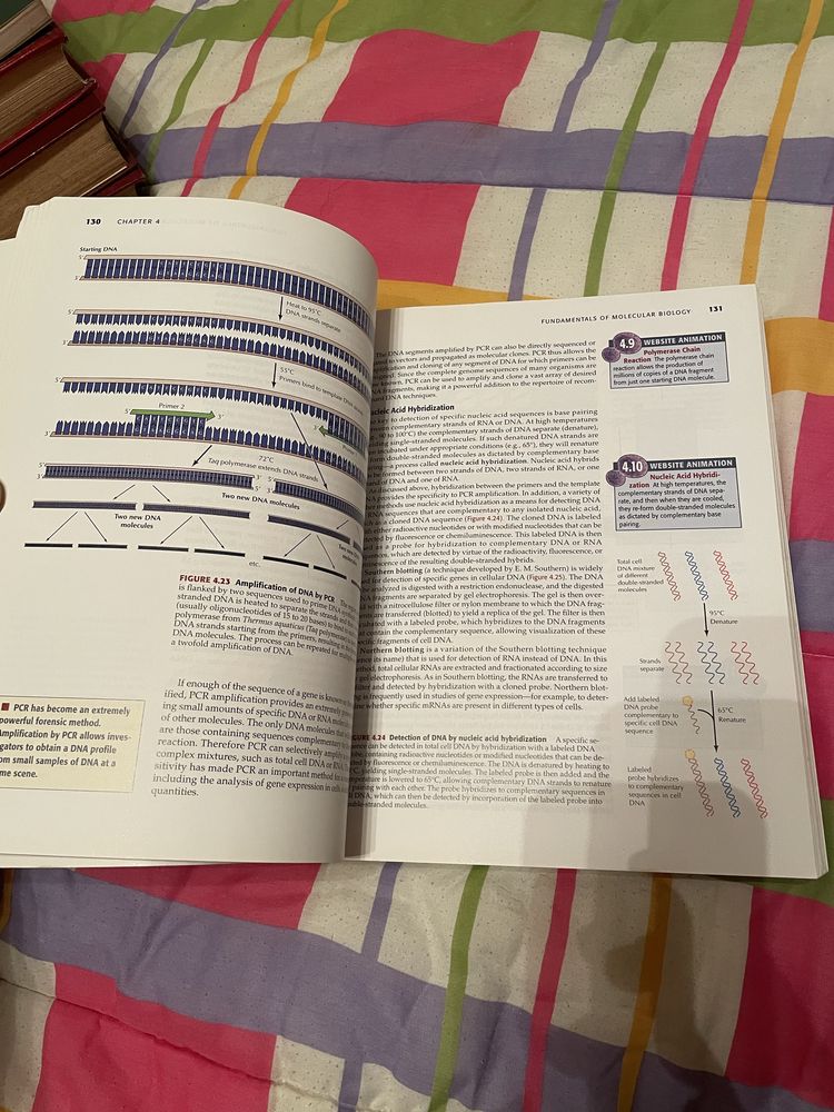 The Cell: A Molecular Approach