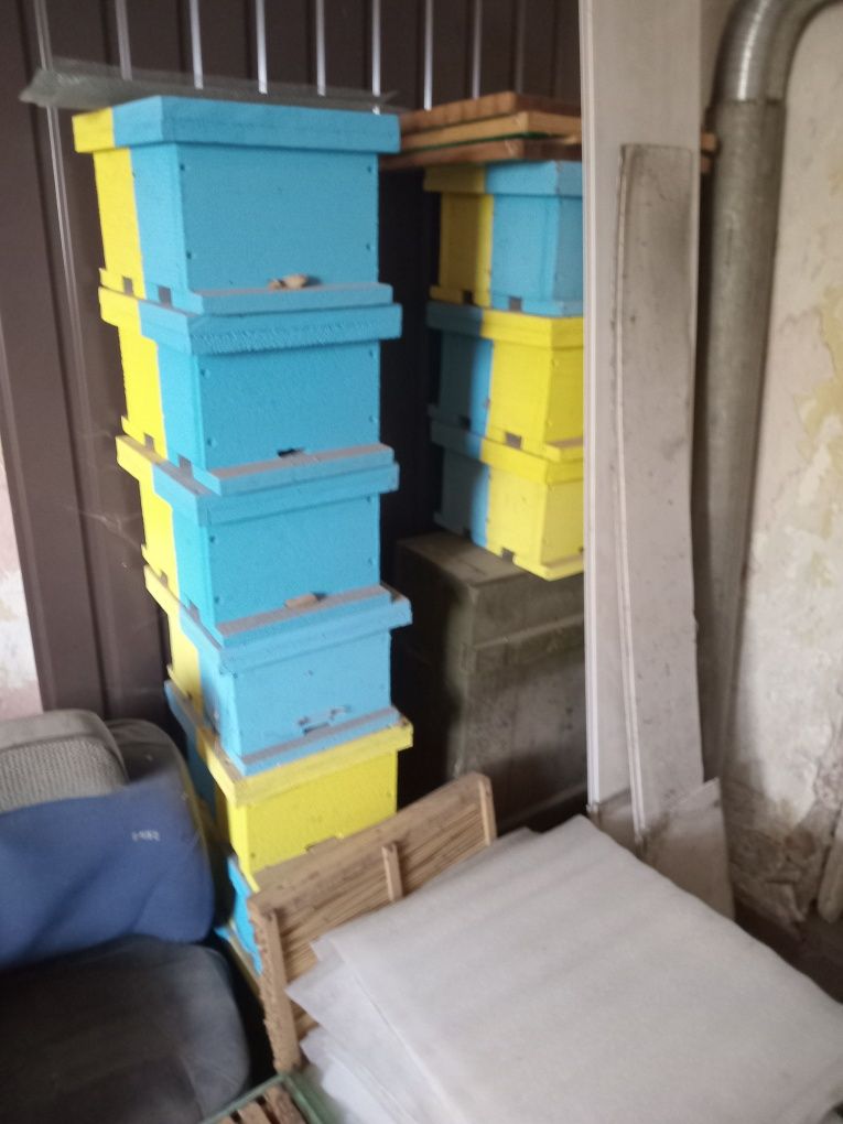 Продам пасеку со всем оборудованием .Розгляну усі пропозиції.