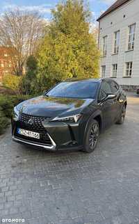 Lexus UX 250h 2023