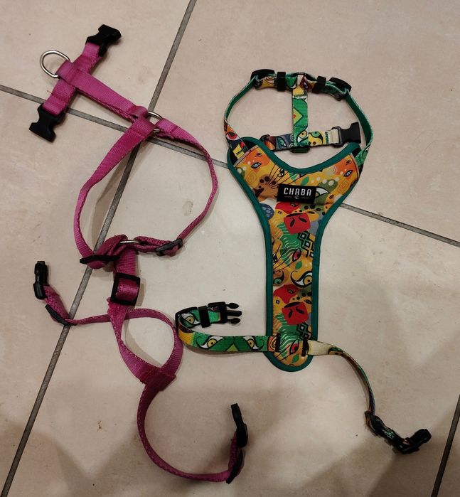 Szelki Chaba Guard Comfort Jumbo M oraz szelki fuksja M