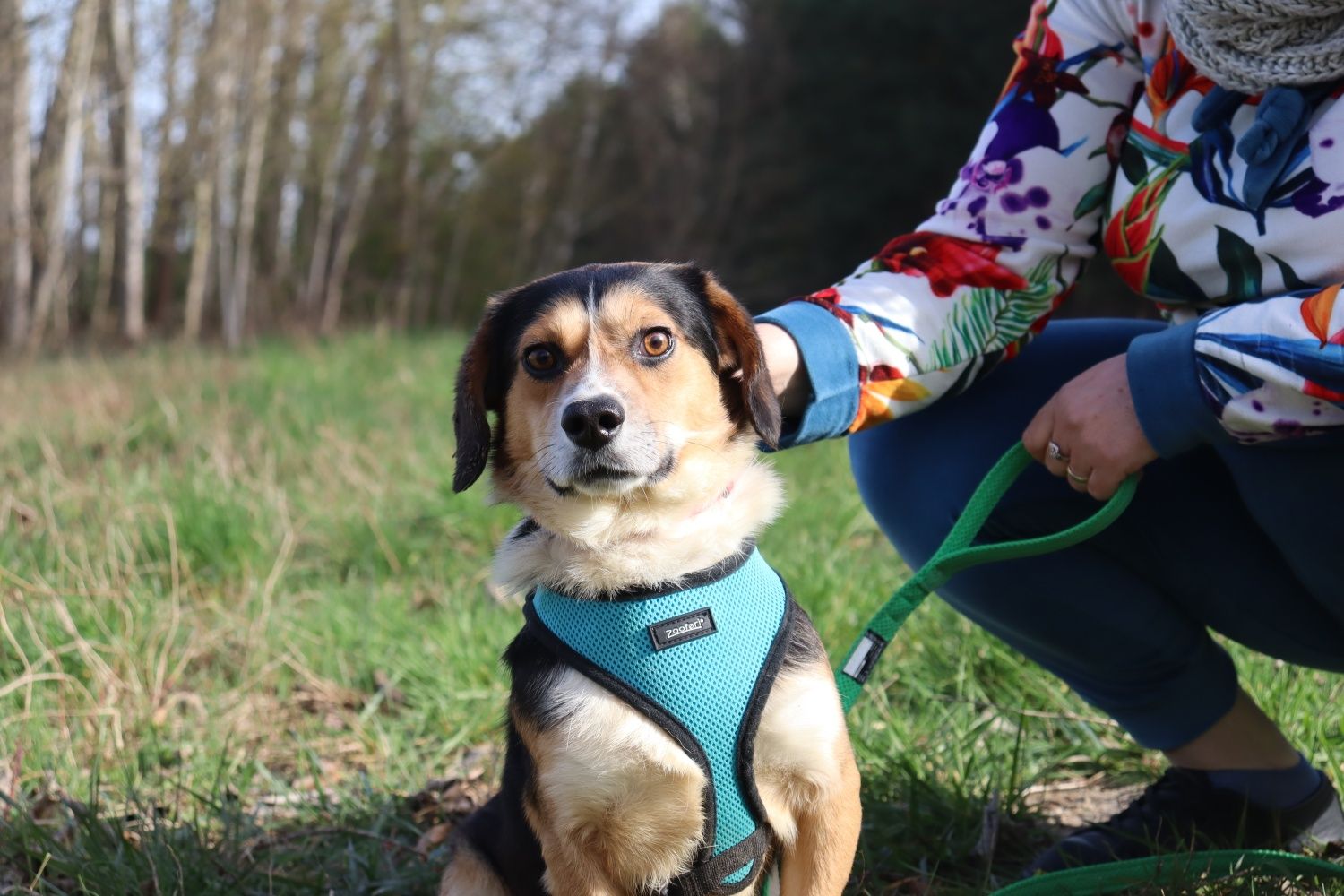 Mały Krawatek 3 lata adopcja ze Schroniska