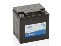 Akumulator 30 Ah EXIDE AGM Ready AGM12-31