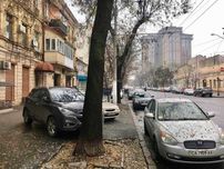 Помещение с ремонтом  в Центре.  52 м. Большая Арнаутская. Фасад.