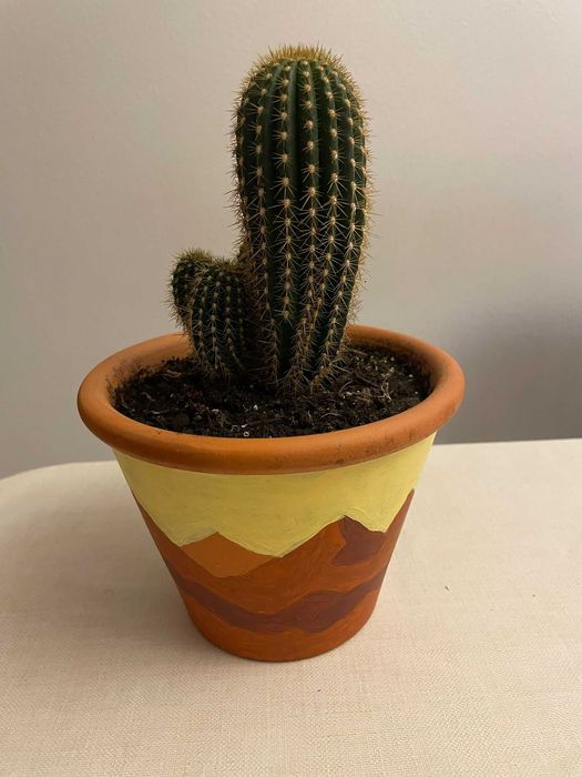 Vaso personalizado