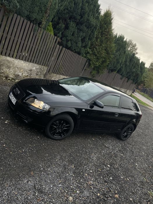 Audi a3 8p 1.9tdi
