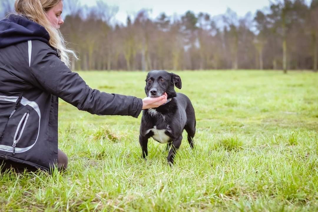 Mały, nieśmiały psiak prosi o dom!