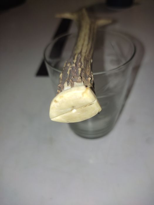 Ріг косулі рукоять