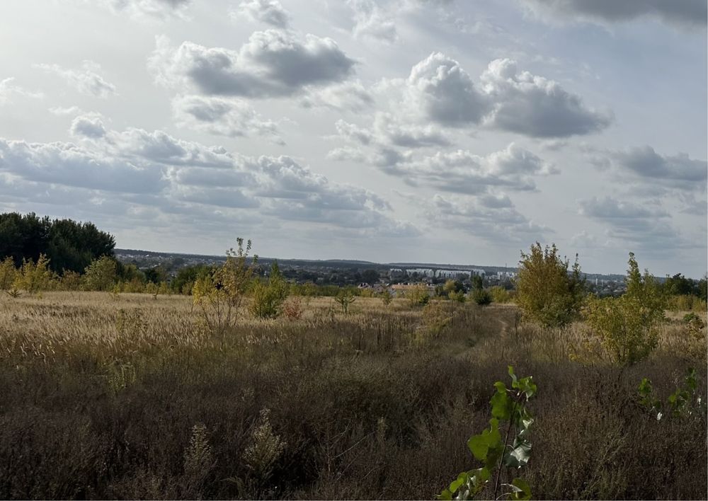 Ділянка135сот на горі з ліском під містечко в Білогородка(шевченково)