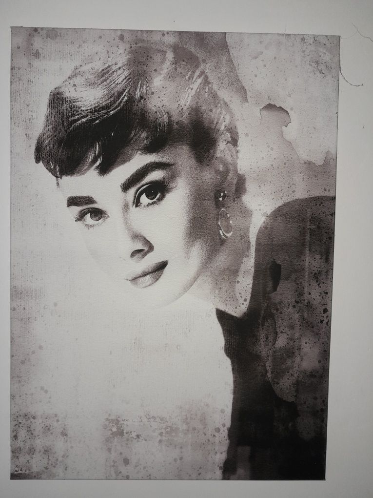 Obraz na płótnie 70×50 Marilyn Monroe  Audrey Hepburn