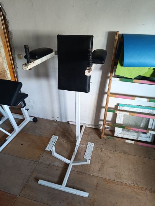 Гантелі , Тренажери , інтератлетика