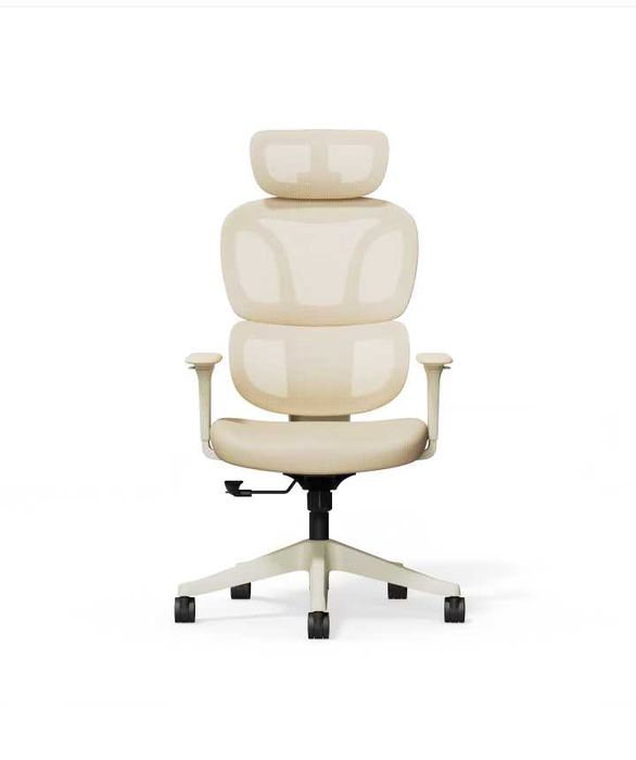 Nowe krzesło ergonomiczne / fotel biurowy / FlexiSpot BS5LG !K416!