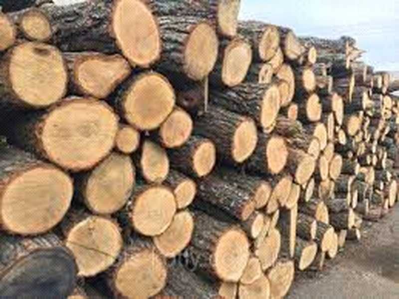 Безкоштовна доставка дрова дуба ясеня та акації в Одесі та області