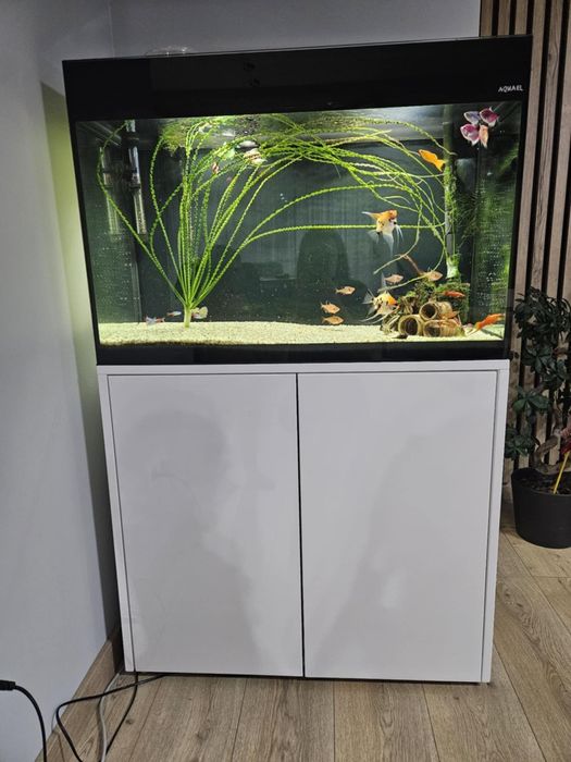 Akwarium aquael glossy 120 litrow