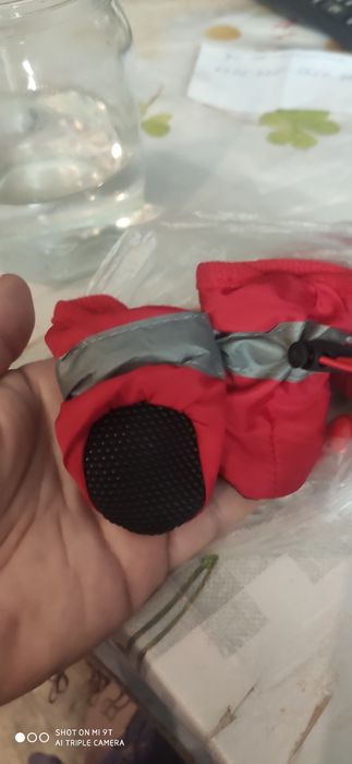 Взуття для собачки.