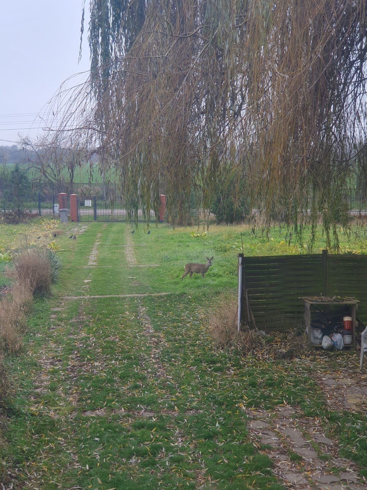 Działka budowlana, Wilanów