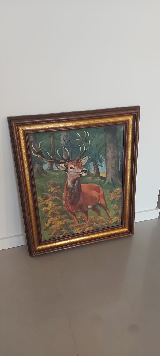Obraz na płótnie Jelen szlachetny piękny