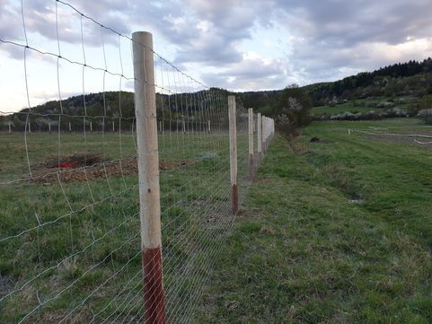 Solidne grodzenie budowlane