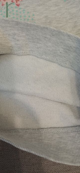 Костюм прогулягковий світшот+ штани на дівчинку 2-3 роки