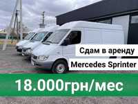 Сдам в аренду Mercedes sprinter/ Аренда Мерседес спринтер грузовой