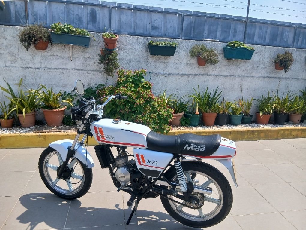 Mota 50cc Macal m83