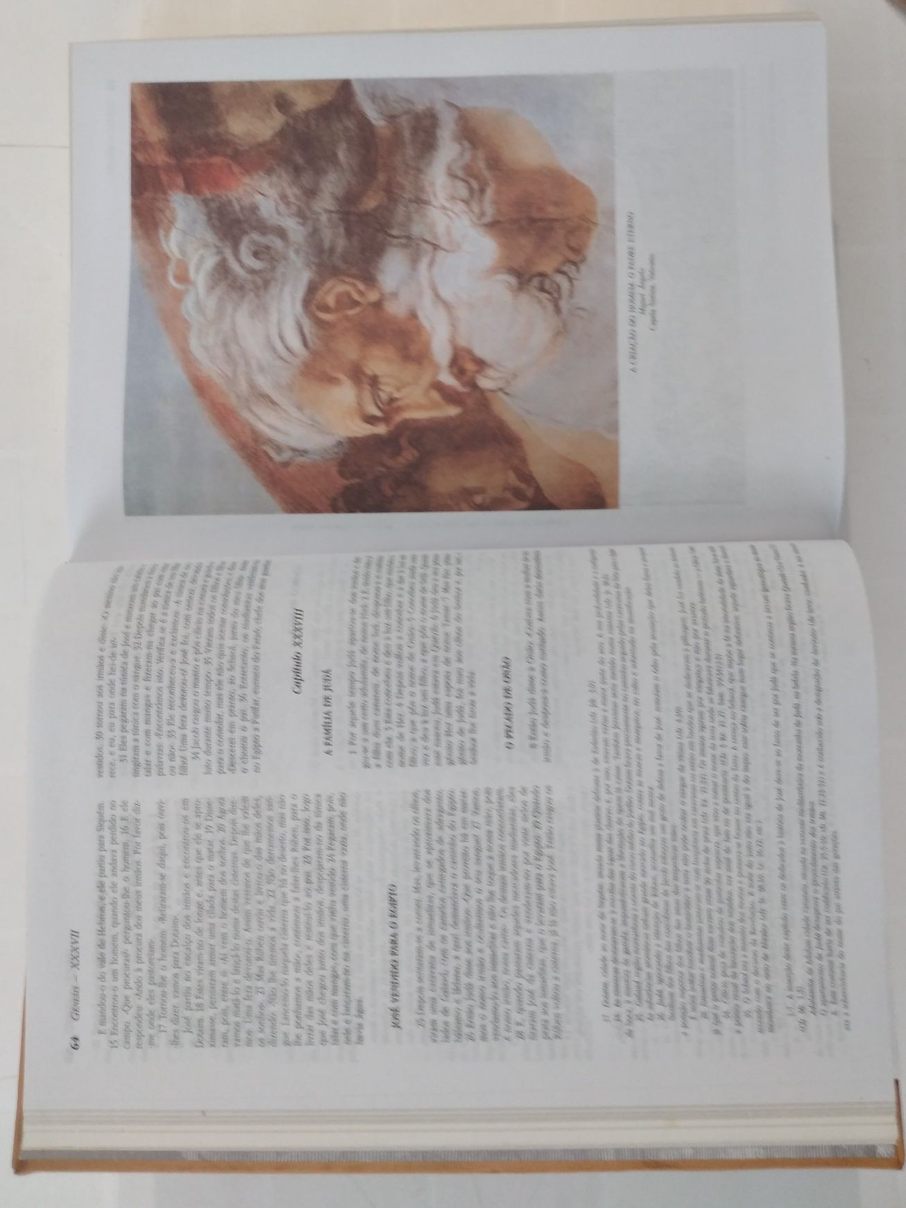 Bíblia Sagrada - Antigo e Novo Testamento - nova pele natural numerada