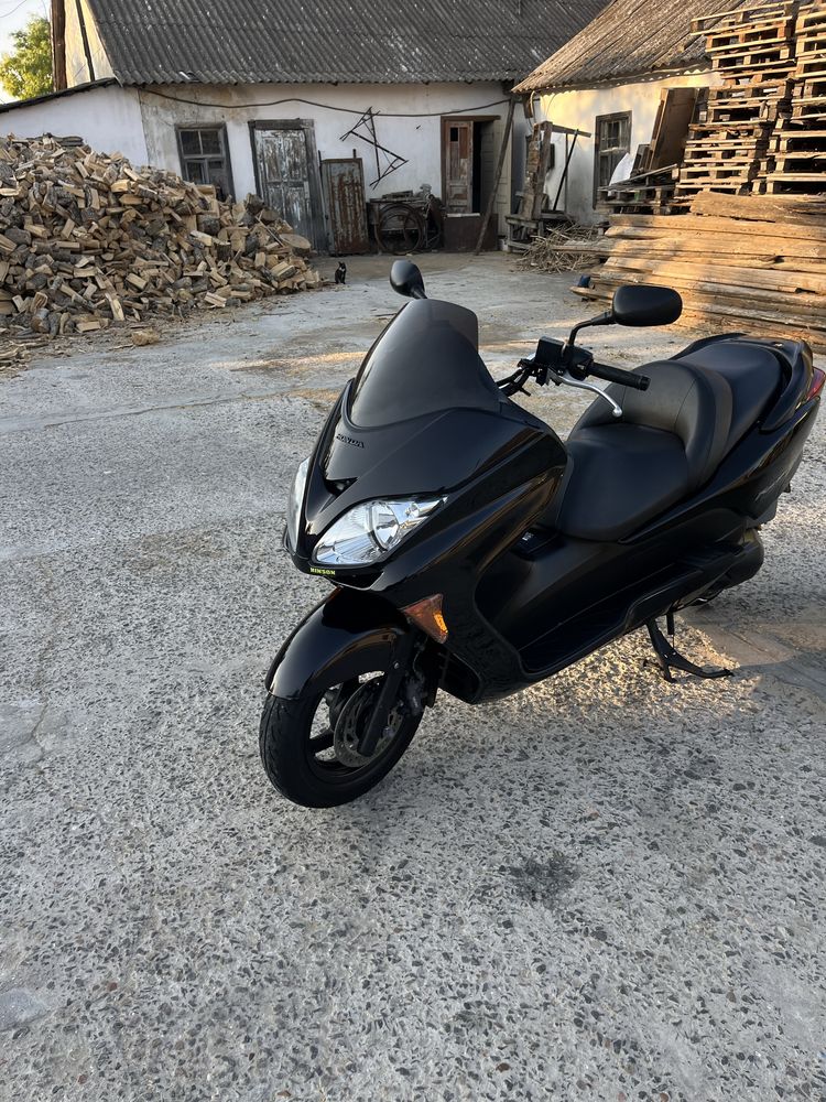 Honda forza 250 mf08