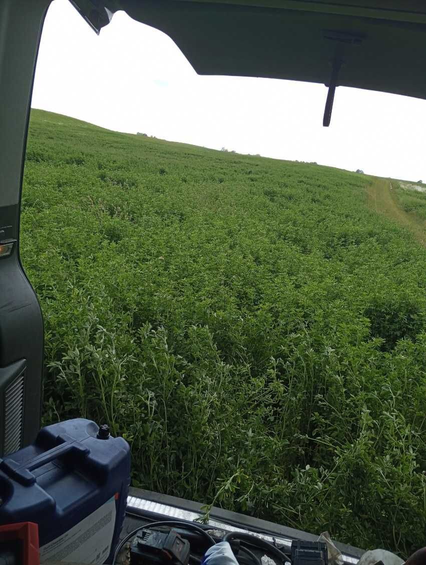 Słoma w belach Siano suche ze stodoły oraz  bele kiszonki Lucerny