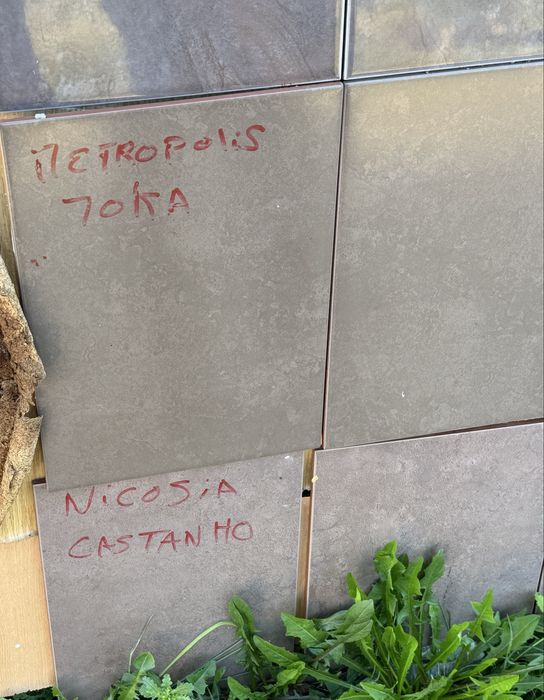 Vende-se azulejos de 1°