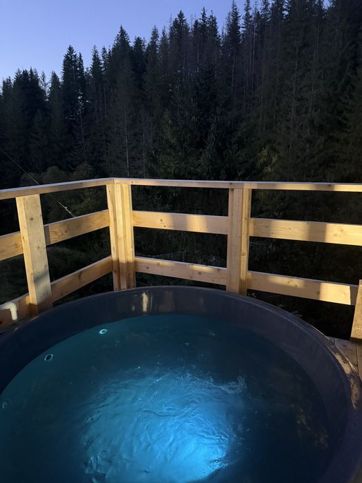 Оренда будинку в Карпатах.Котедж в Микуличині "Крістал Хаус".