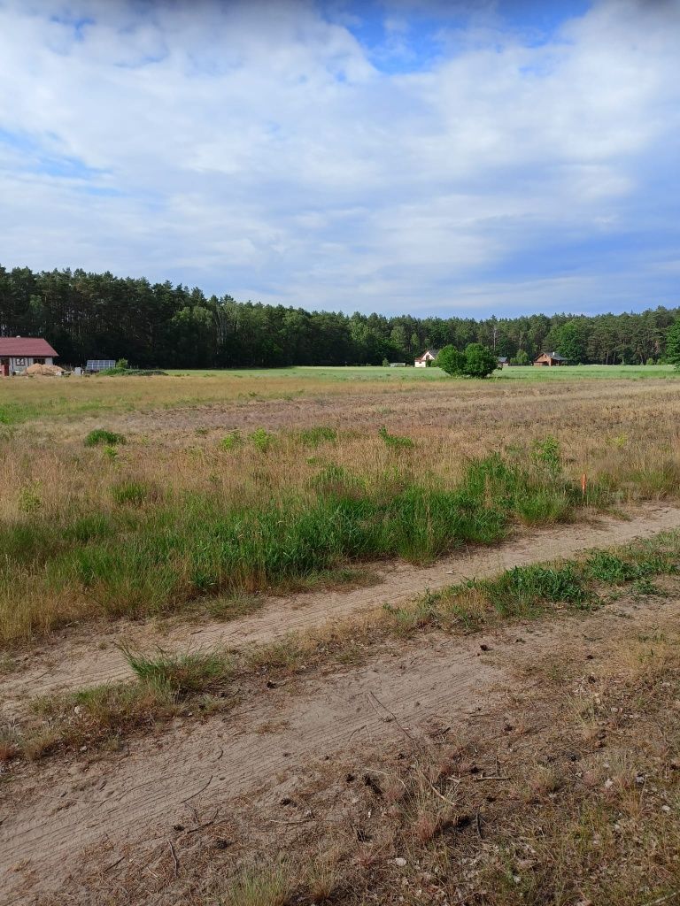 Działka budowlana Chojno Młyn