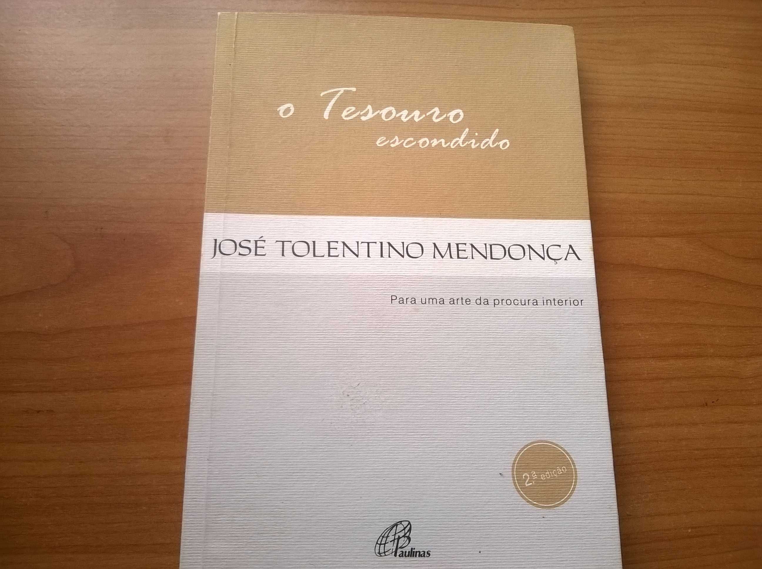 O Tesouro Escondido - José Tolentino Mendonça