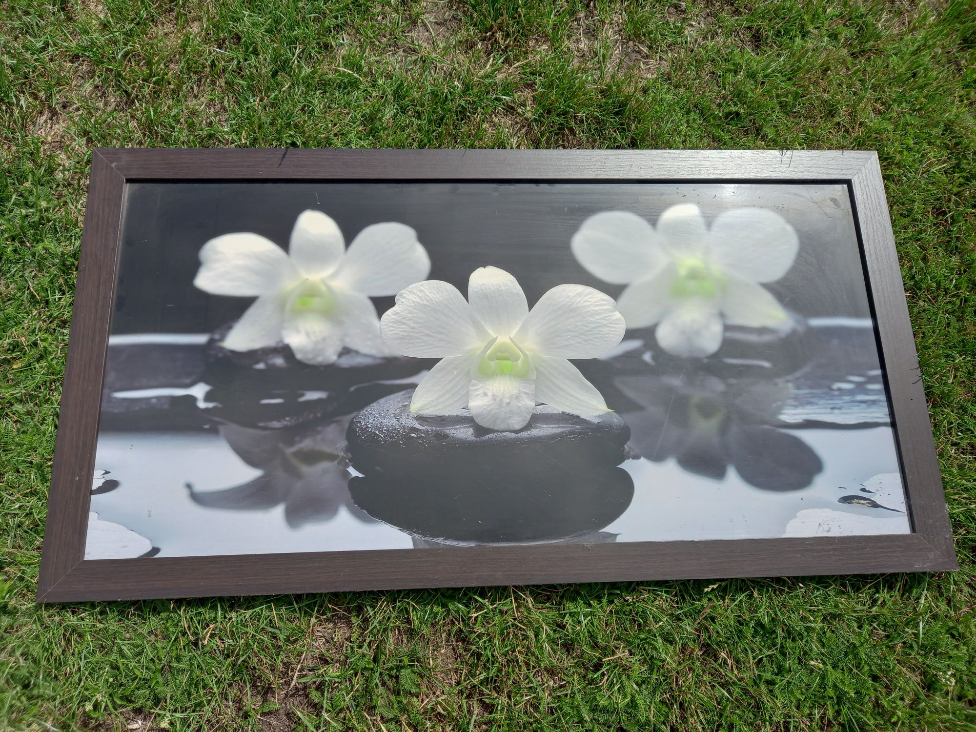 Sprzedam duży obraz motyw białe kwiaty wodne