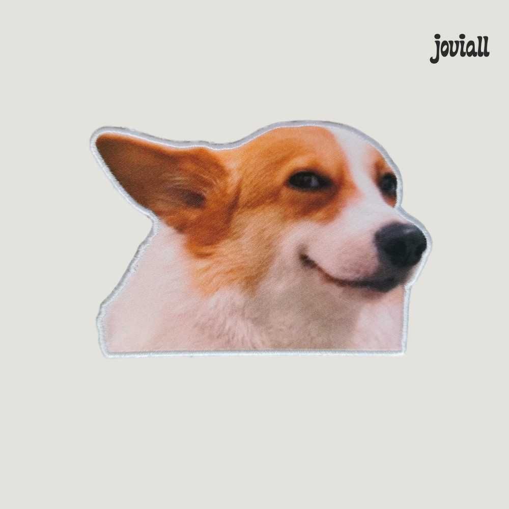 Emblema universitário "Cão sorridente"