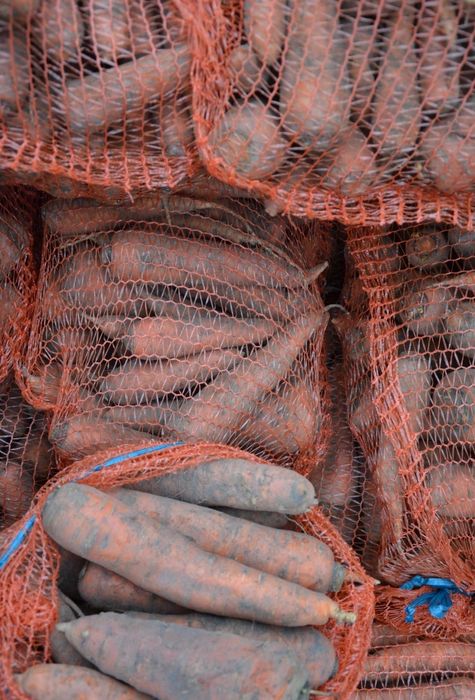 Marchew jadalna worek 10kg marchewka sortowana