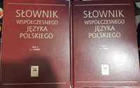 Słowniki współczesnego języka polskiego