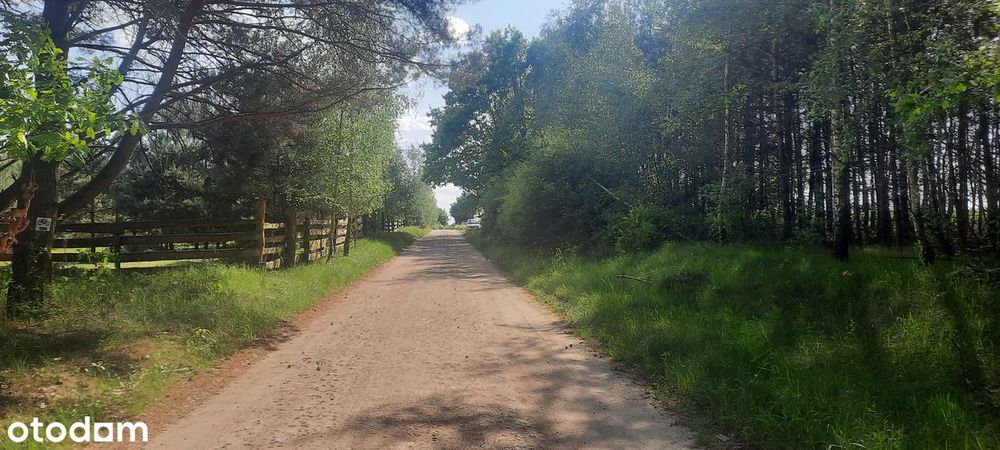 Działka SIEDLISKOWA 1MR 40km od Poznania lasy  jezioro, stadnina koni