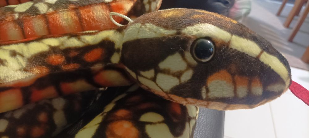 Serpente em peluche .