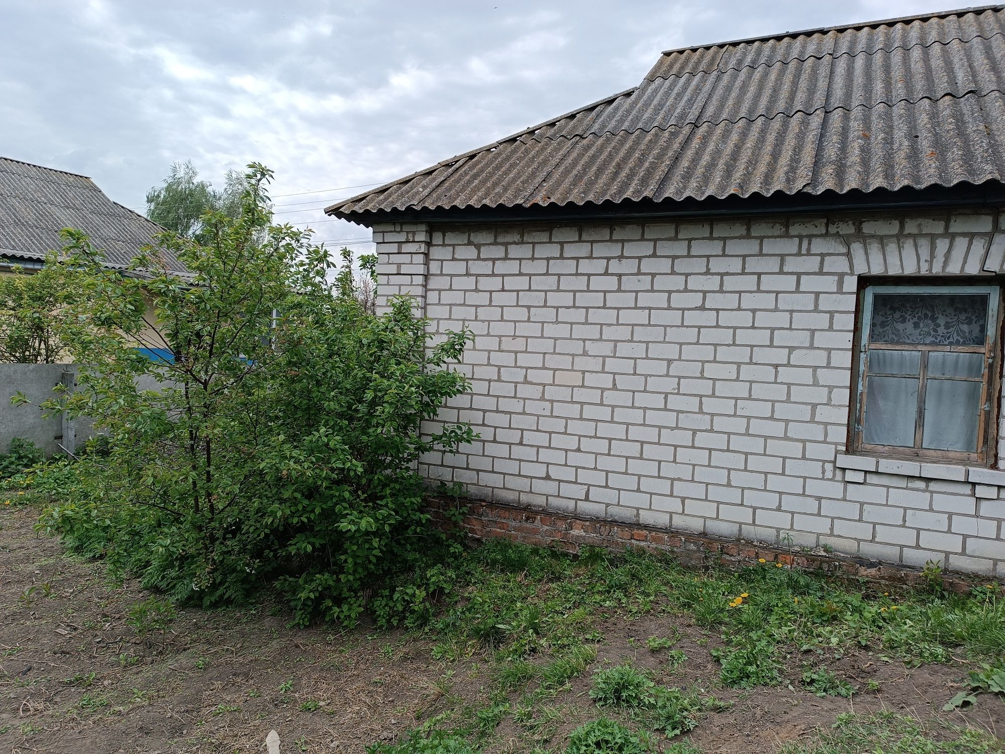 Продам будинок в селі Гламазди, Чернігівська обл. (Козелець)