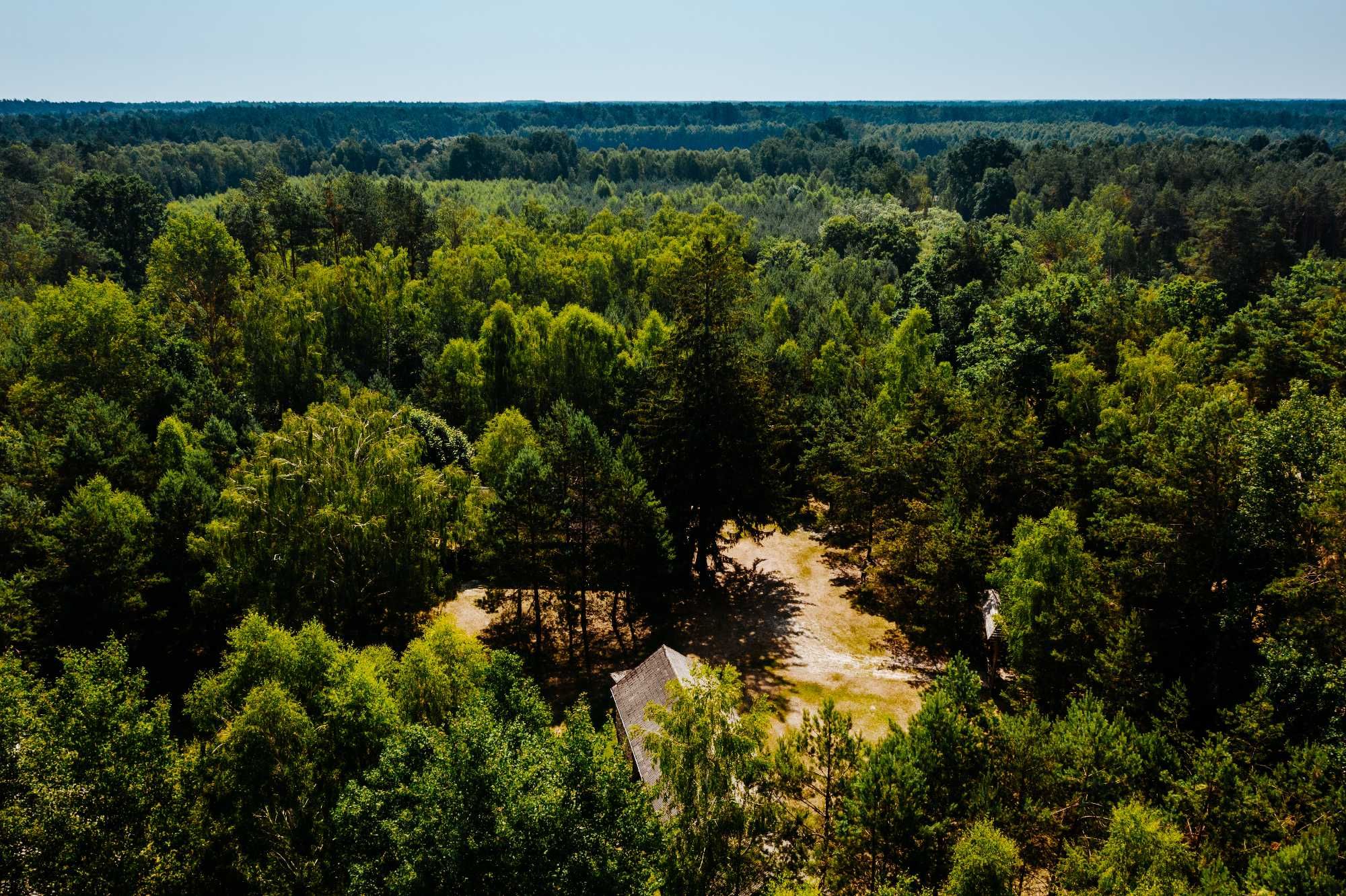 Domek w lesie nocleg, noclegi lubelskie