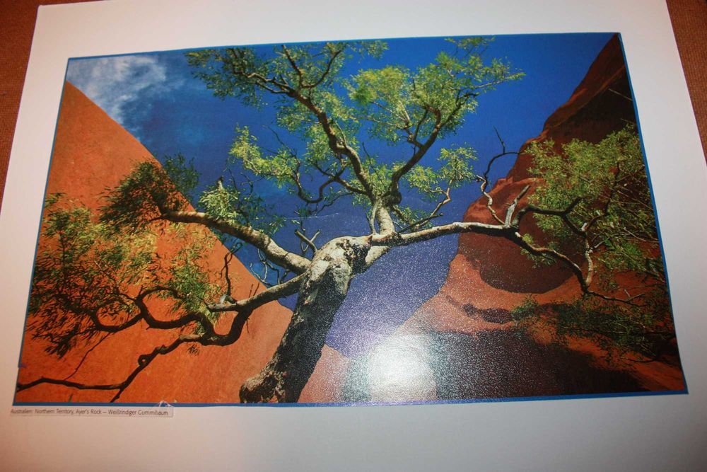 Piękne zdjęcia ze starego niemieckiego kalendarza