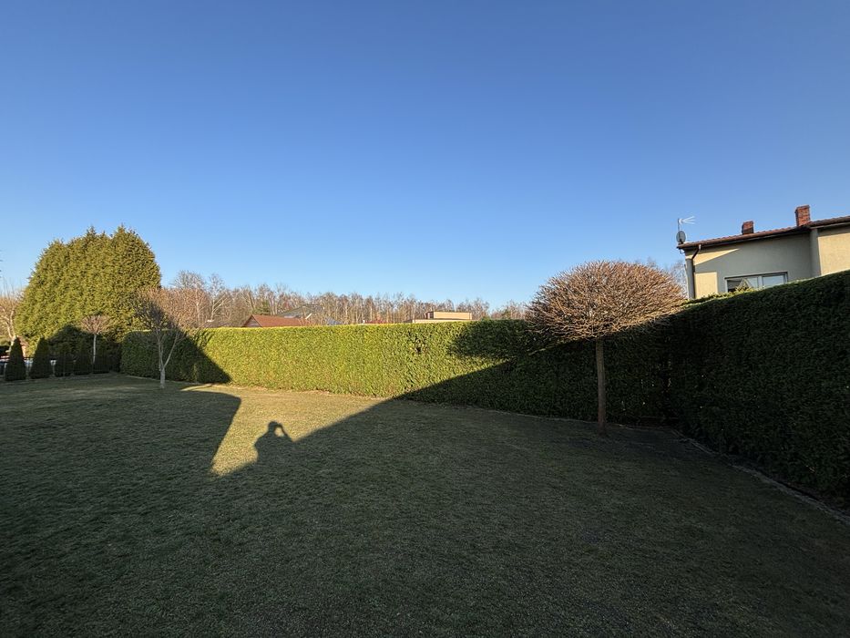 Przycinanie żywopłotów, tuj, krzewów