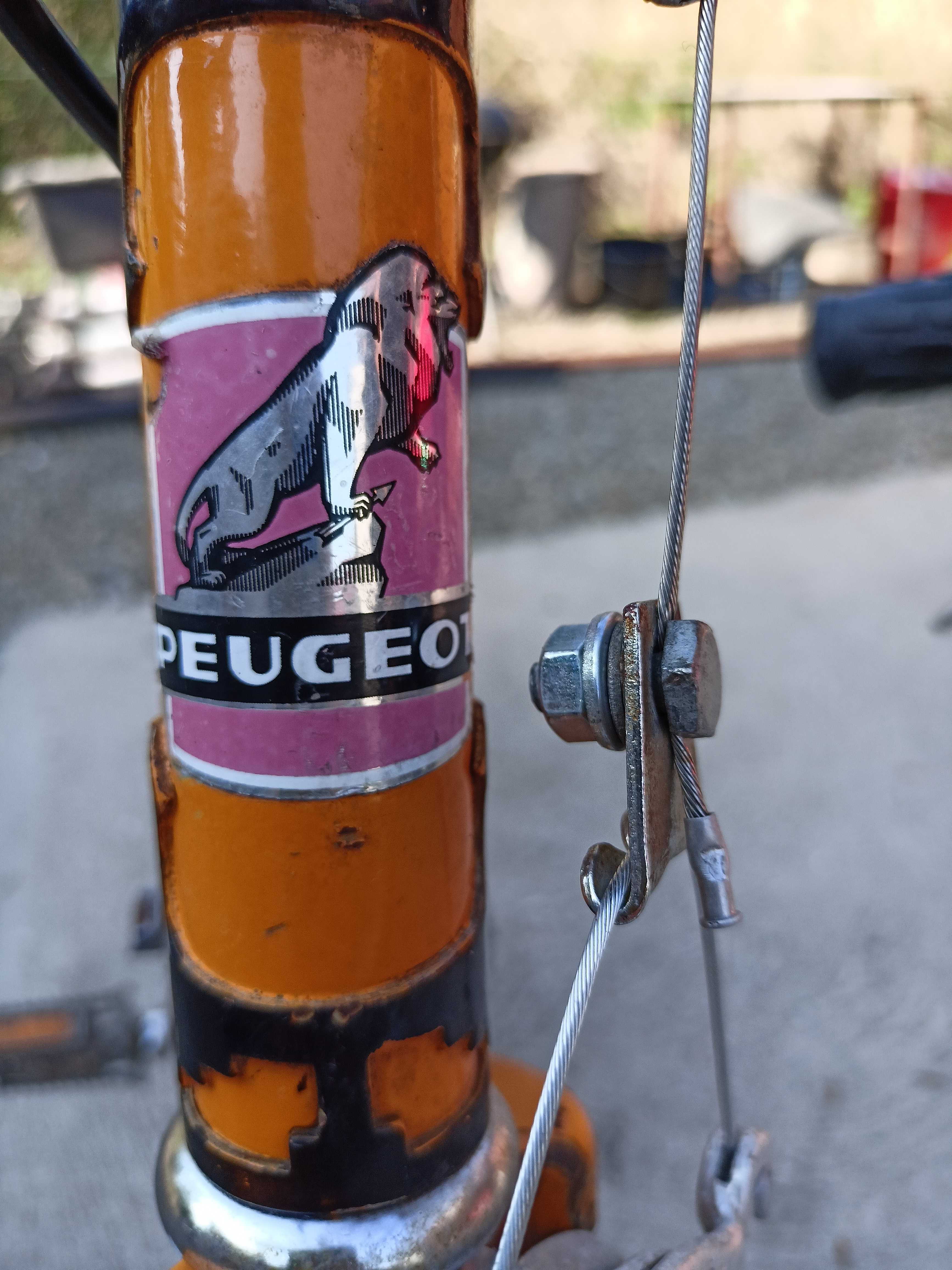Rower firmy Peugeot