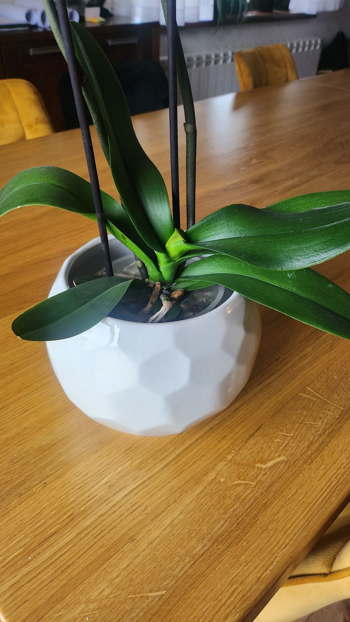 Doniczka osłonka ceramiczna geometryczny wzór